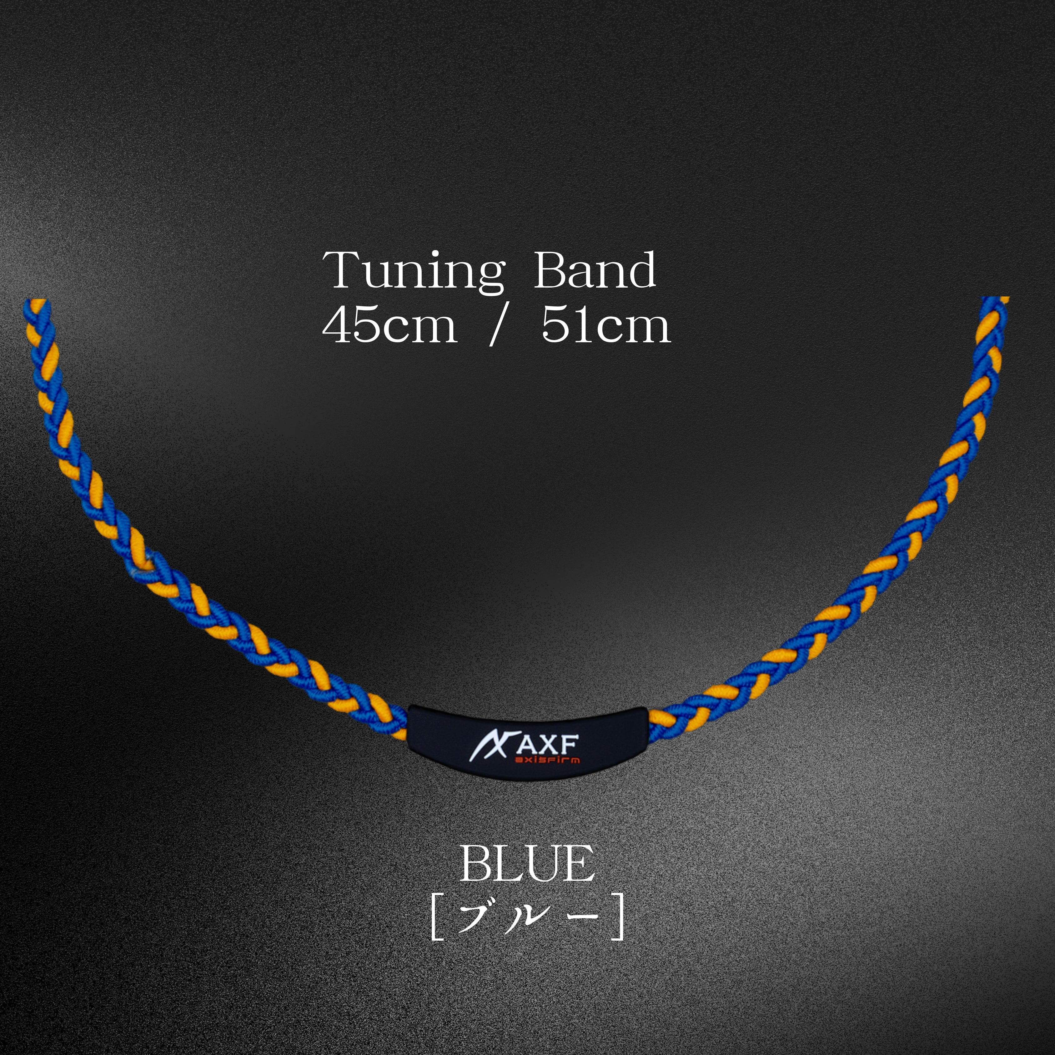 Tuning Band〔チューニングバンド〕　AXF-303