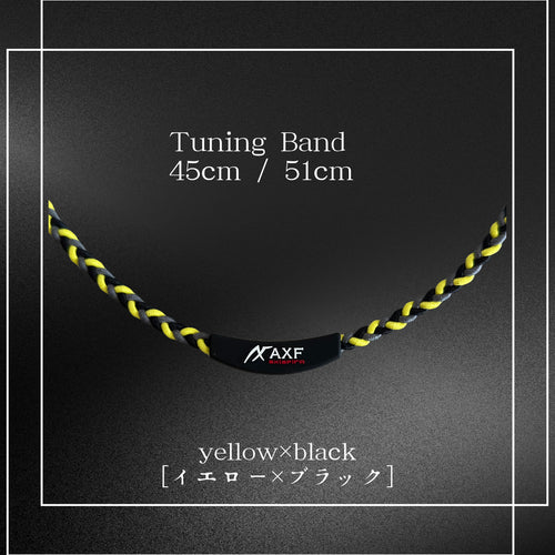 Tuning Band〔チューニングバンド〕　AXF-303