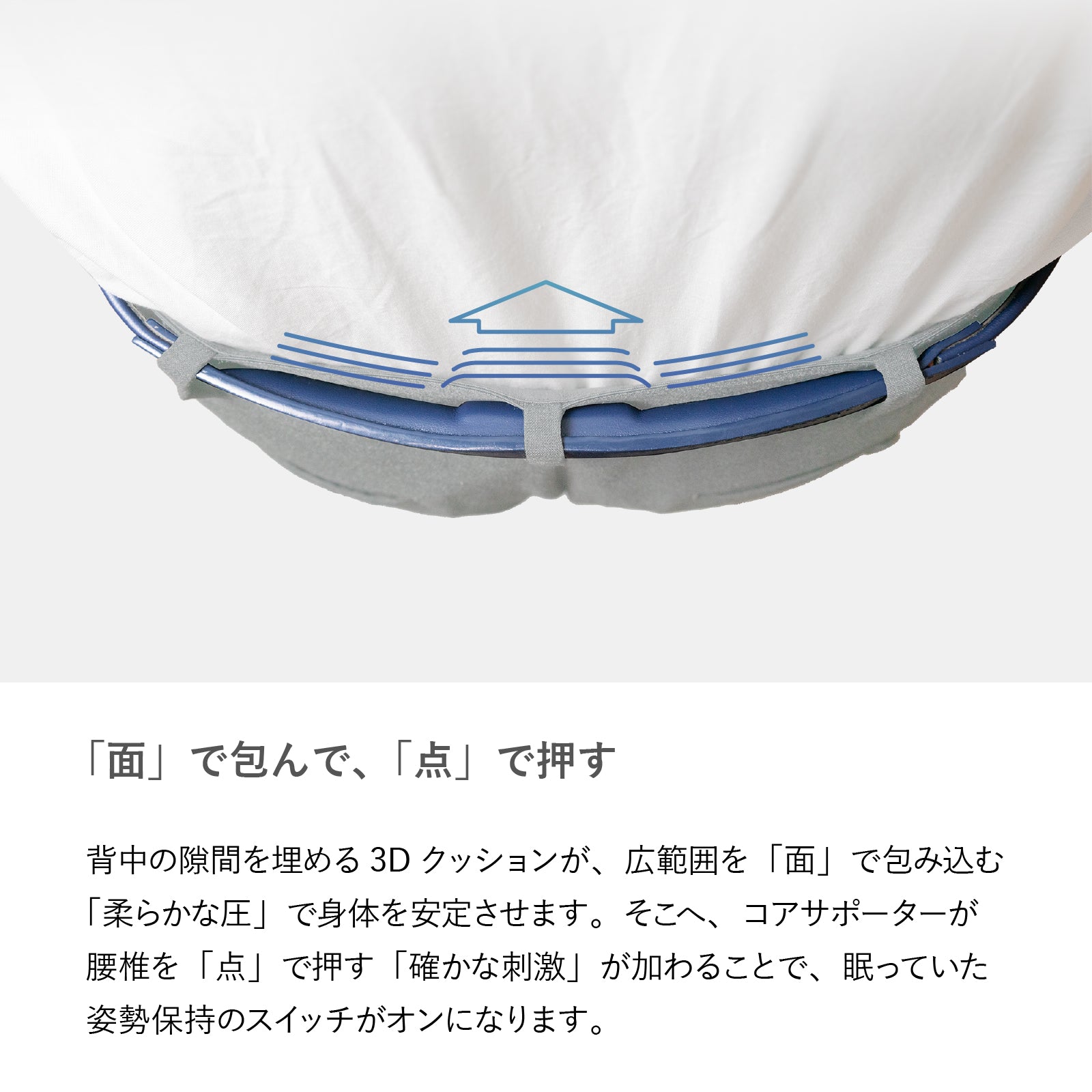 【コレストベルト 】ベーシックタイプ