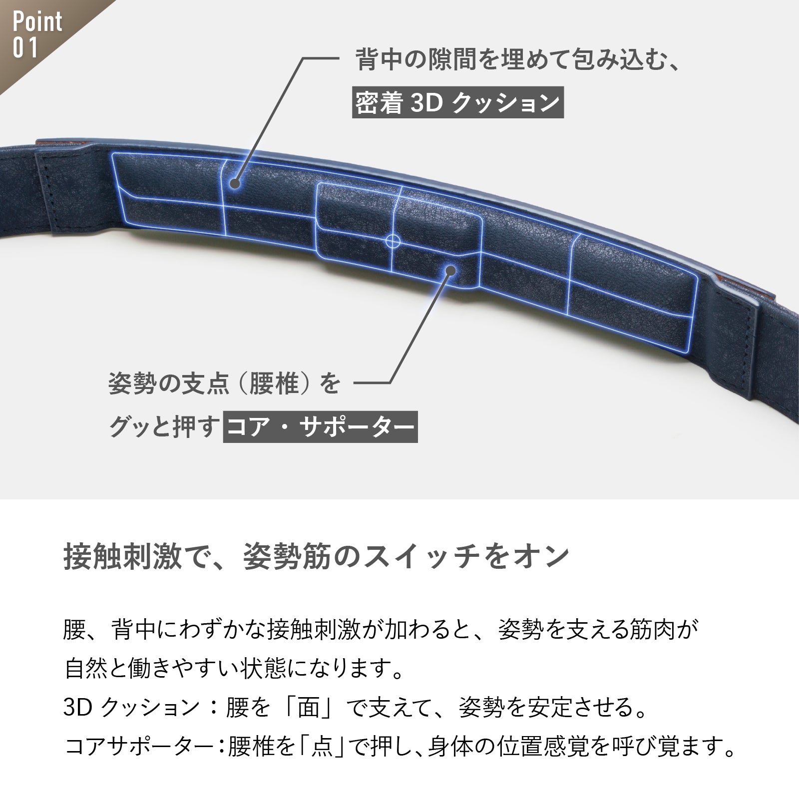 【コレストベルト】ワンタッチタイプ
